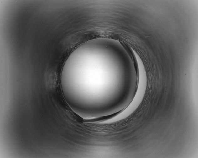 X0000088670752200706071459
