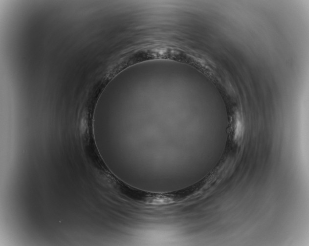 X0000088670754200706071459