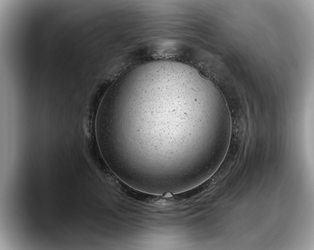 X0000088670755200706071459
