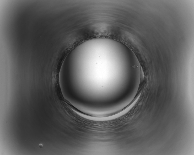 X0000088670756200706071459