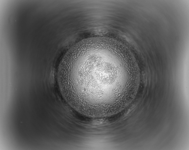 X0000088670757200706071459