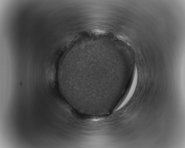 X0000088670760200706071459