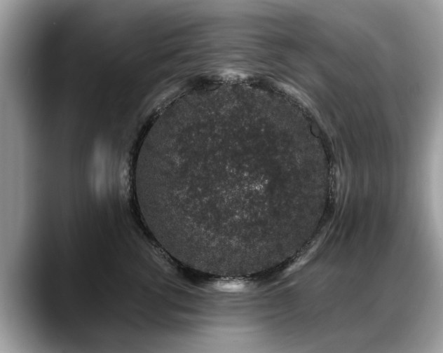 X0000088670762200706071459