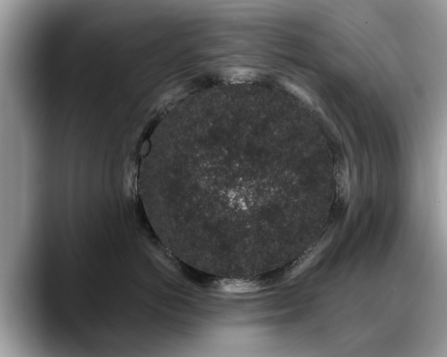 X0000088670766200706071459