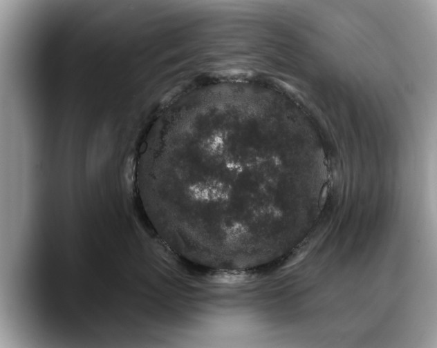 X0000088670767200706071459