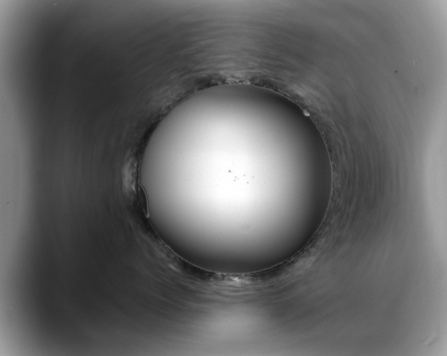 X0000088670768200706071459