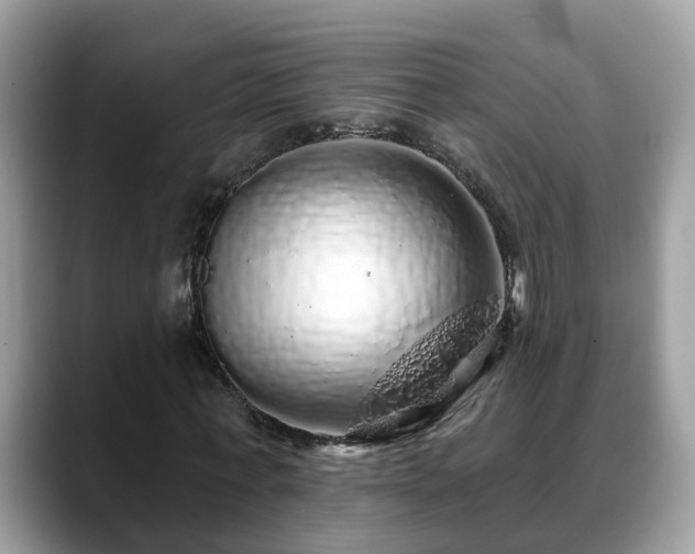 X0000088670771200706071459