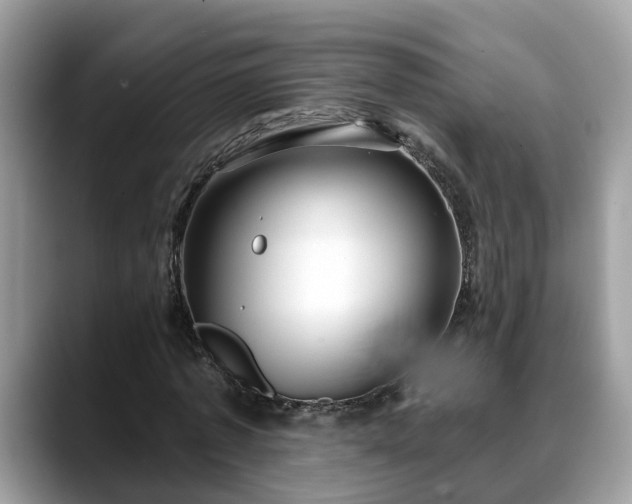 X0000088670773200706071459