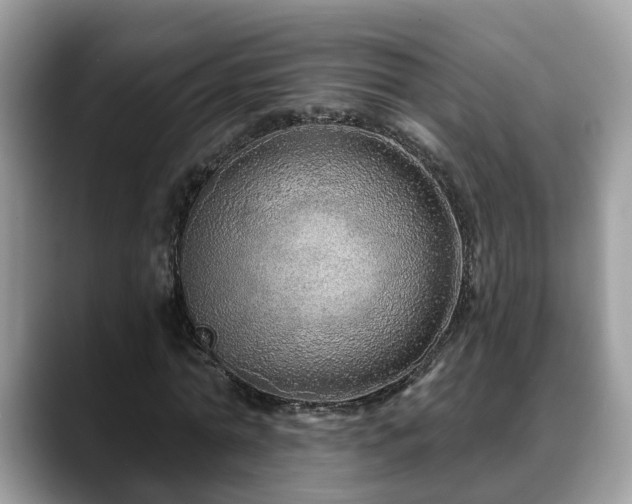 X0000088670774200706071459