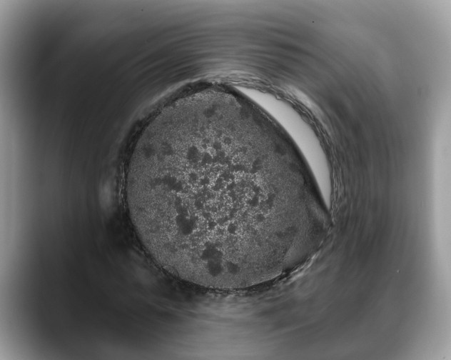 X0000088670775200706071459