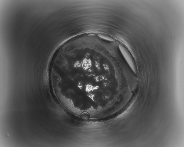 X0000088670779200706071459