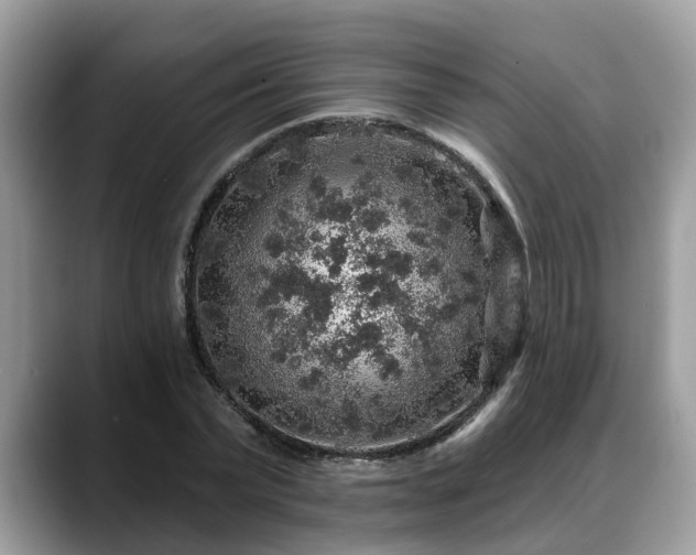 X0000088670783200706071459