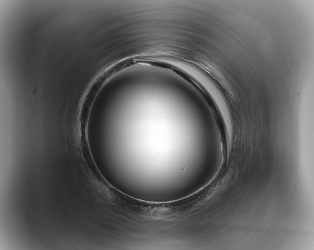 X0000088670784200706071459