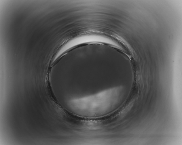 X0000088670785200706071459