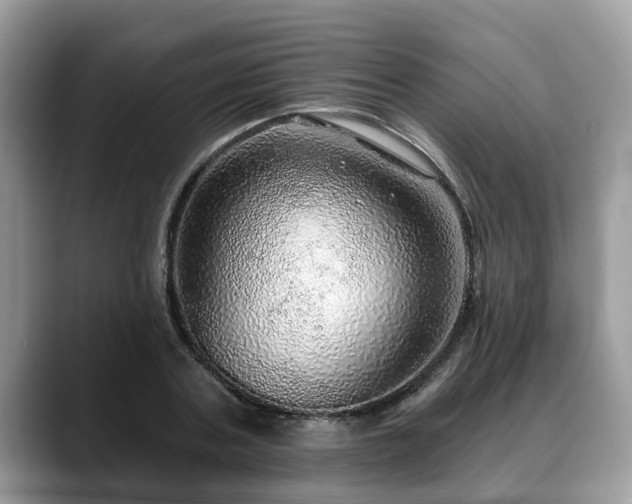 X0000088670787200706071459