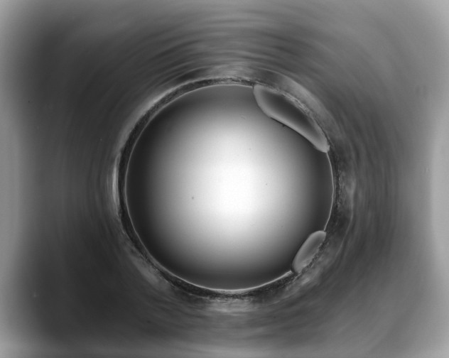 X0000088670788200706071459