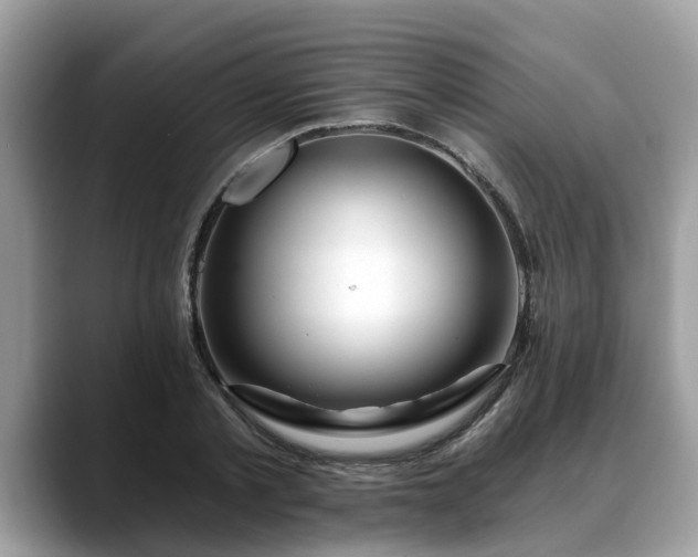 X0000088670789200706071459