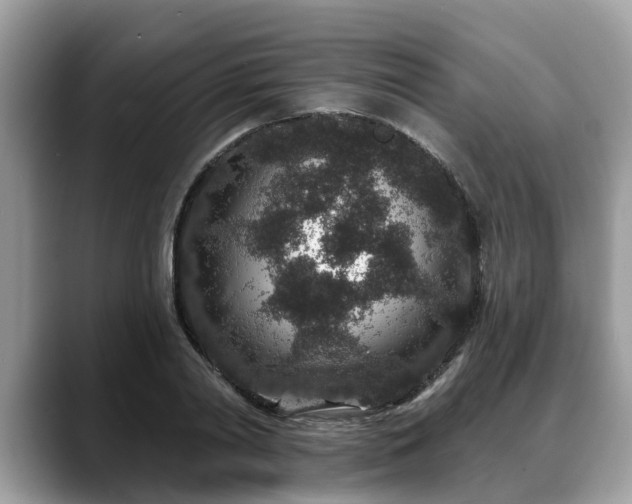 X0000088670790200706071459