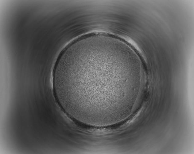 X0000088670791200706071458