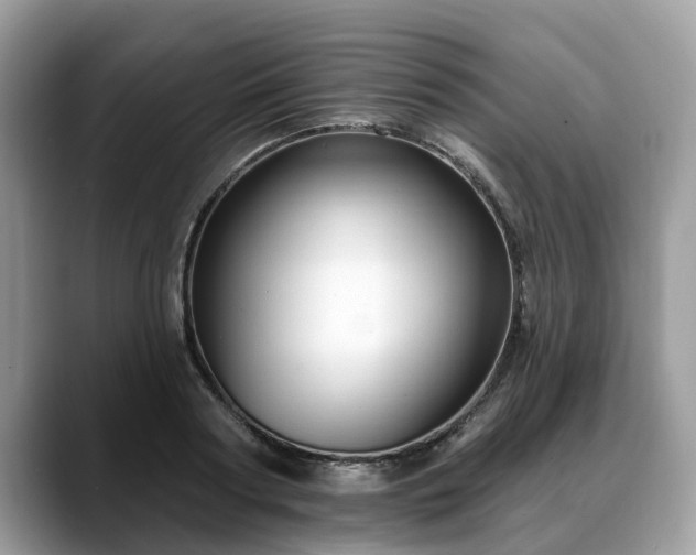 X0000088670794200706071458