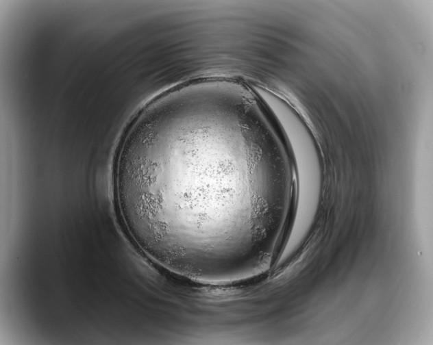 X0000088670795200706071458