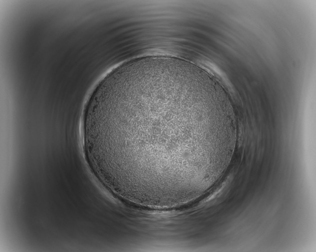 X0000088670796200706071458