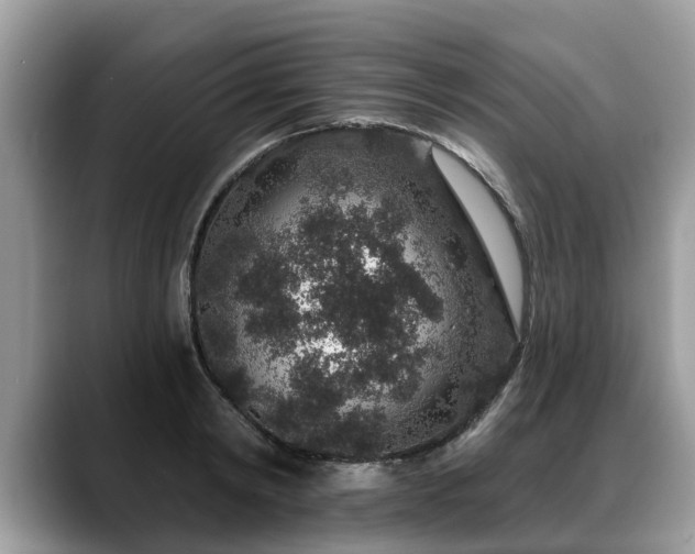 X0000088670798200706071458