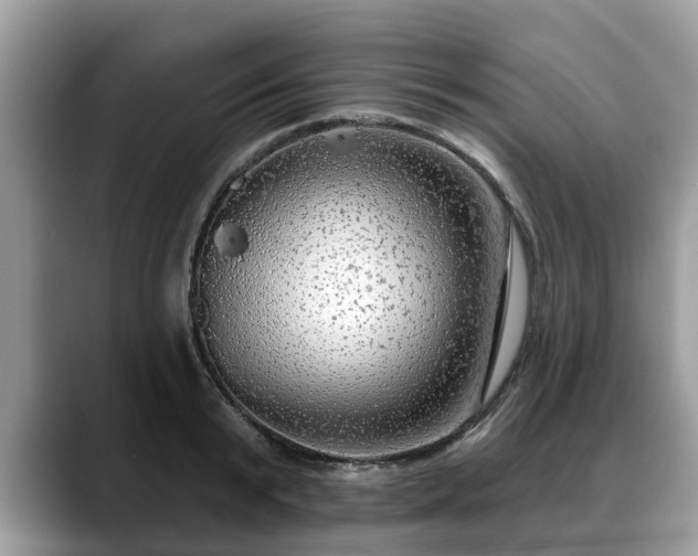 X0000088670799200706071458