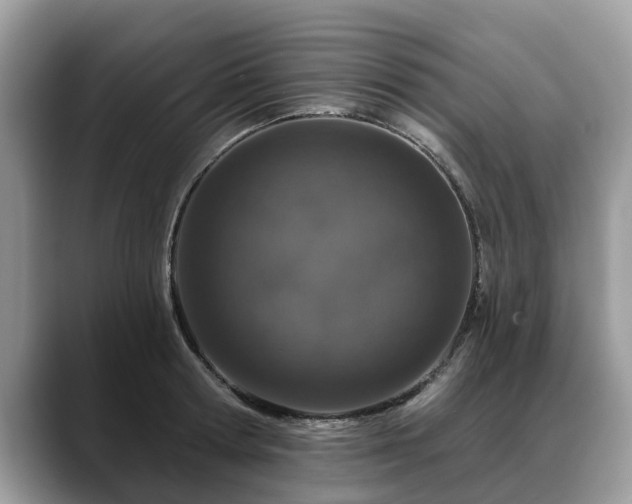 X0000088670802200706071458