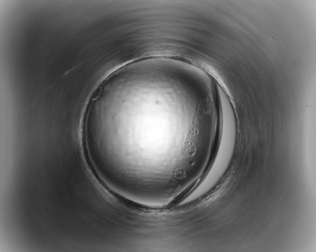 X0000088670803200706071458