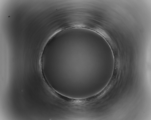 X0000088670806200706071458