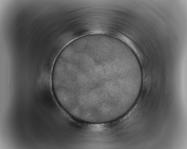 X0000088670810200706071458