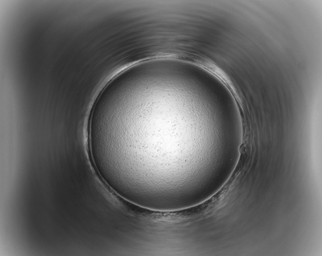 X0000088670811200706071458