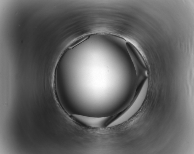 X0000088670815200706071458