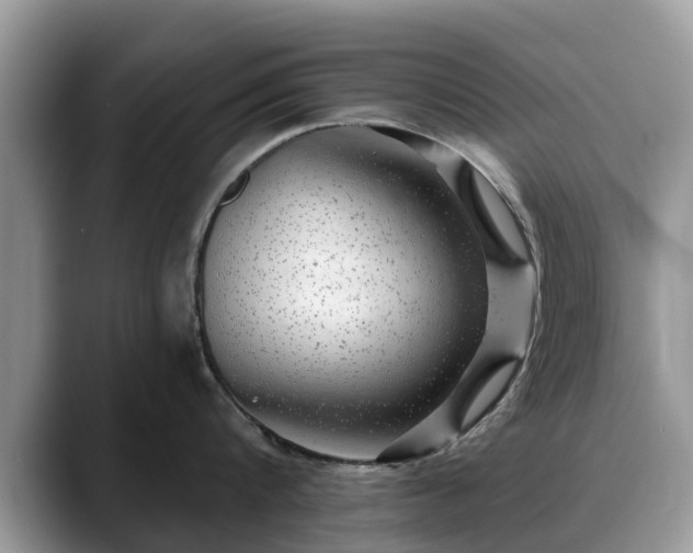 X0000088670816200706071458