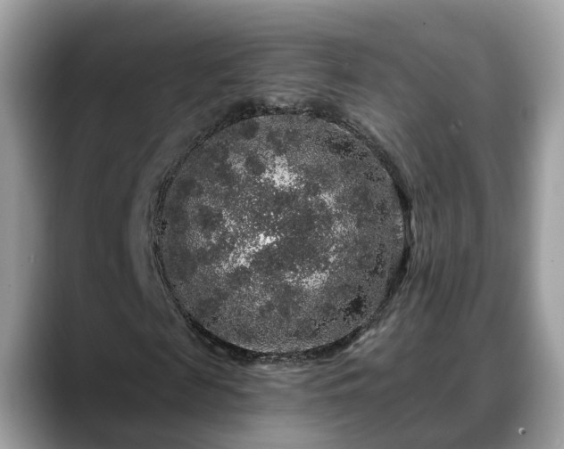 X0000088670817200706071458