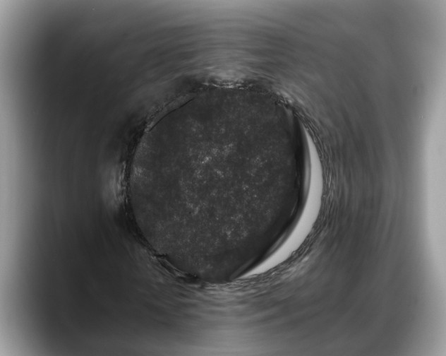 X0000088670818200706071458