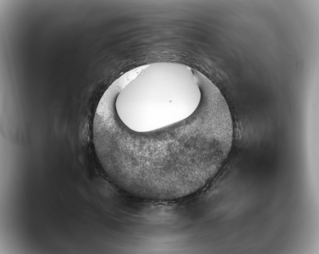 X0000088670820200706071458