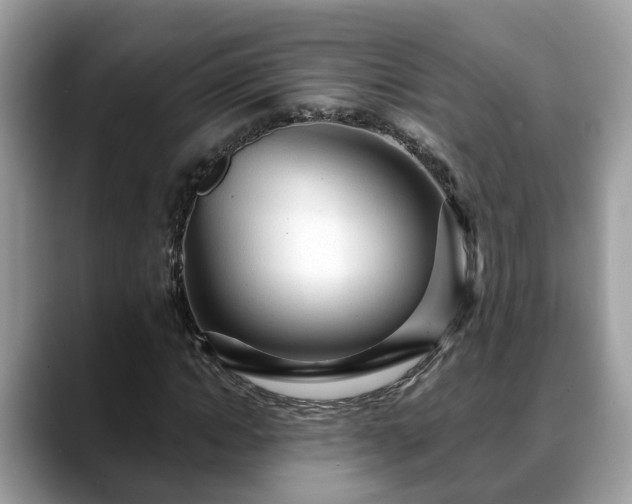 X0000088670822200706071458