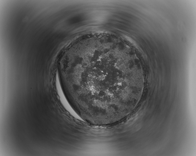 X0000088670823200706071458