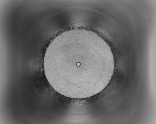 X0000088670824200706071458