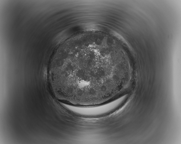 X0000088670825200706071458