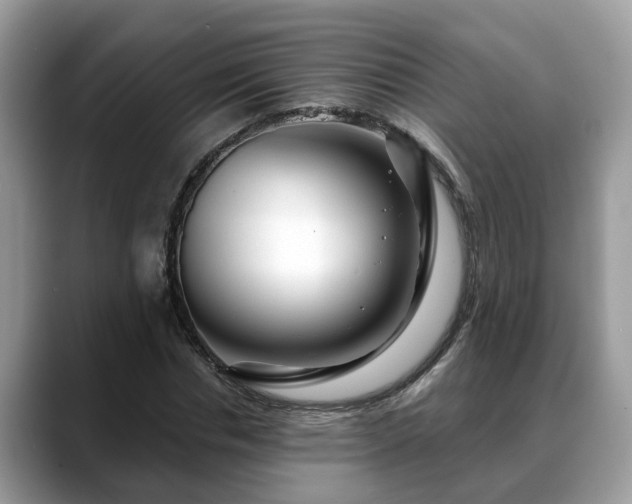 X0000088670826200706071458