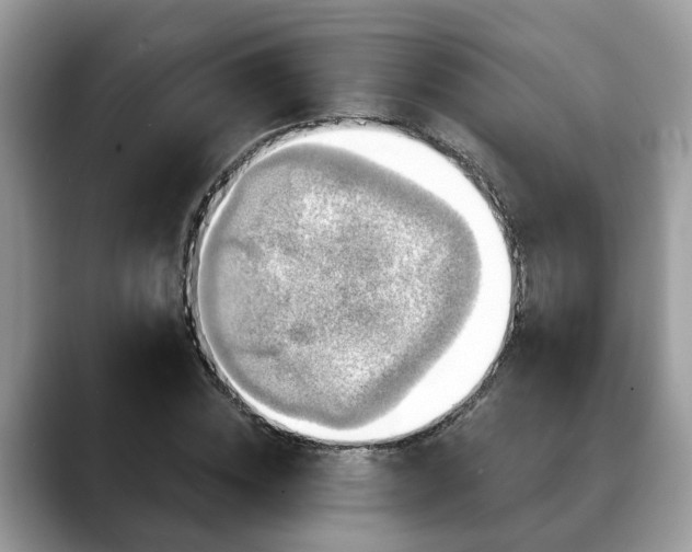 X0000088670828200706071458