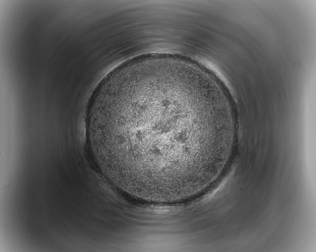 X0000088670829200706071458