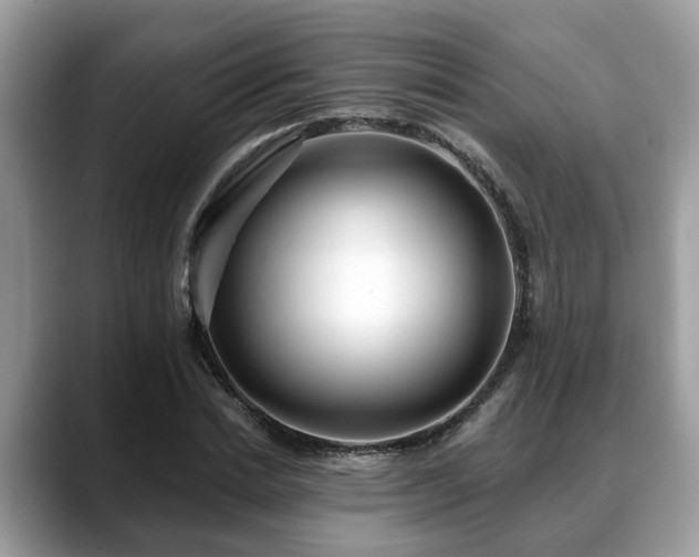 X0000088670830200706071458