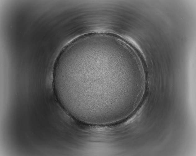 X0000088670831200706071458