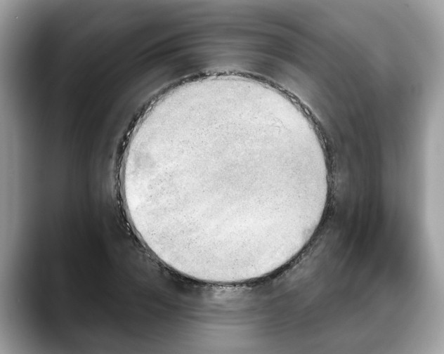 X0000088670832200706071458