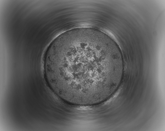 X0000088670835200706071458