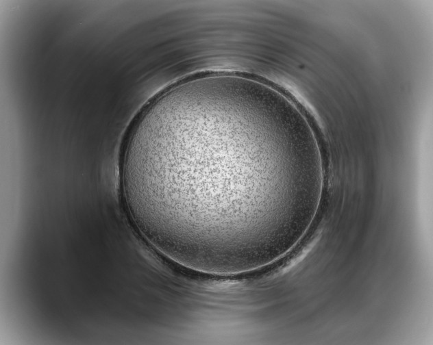 X0000088670837200706071458